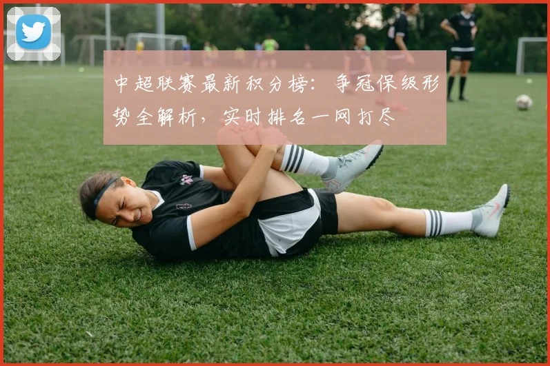 中超联赛最新积分榜：争冠保级形势全解析，实时排名一网打尽